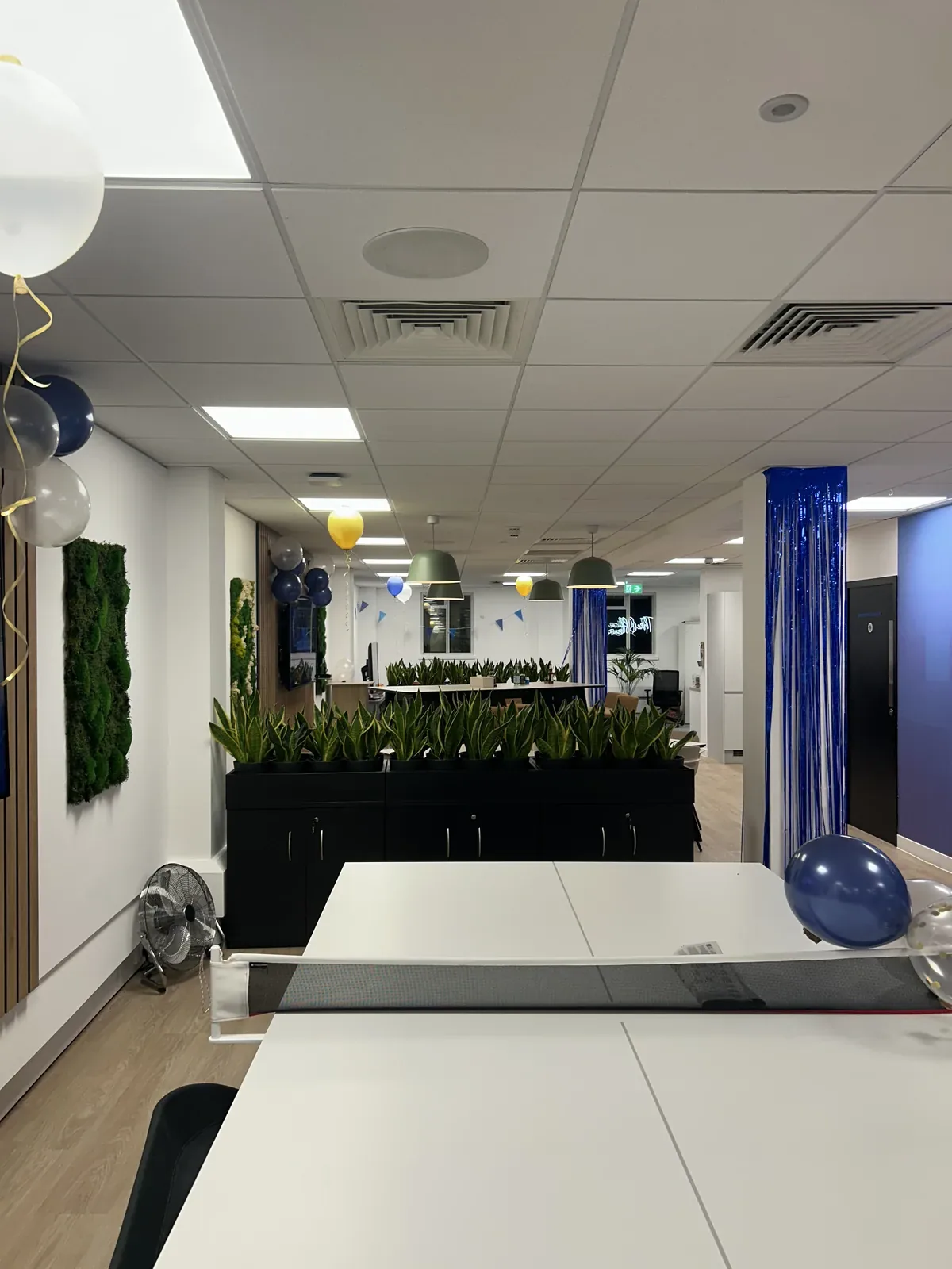 Office opening day, chandos street