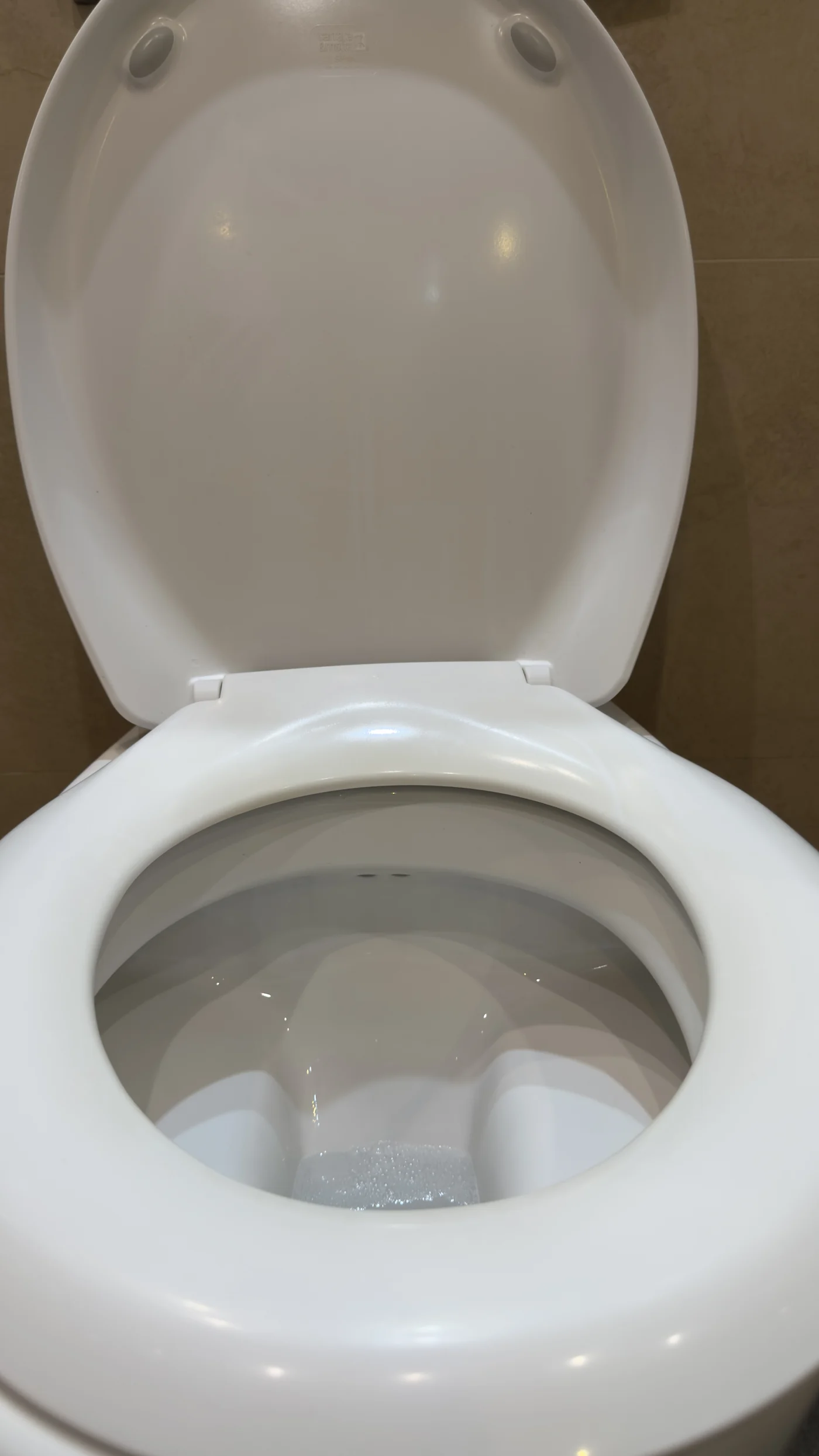 Toilet after end of tenancy clean, saltdean