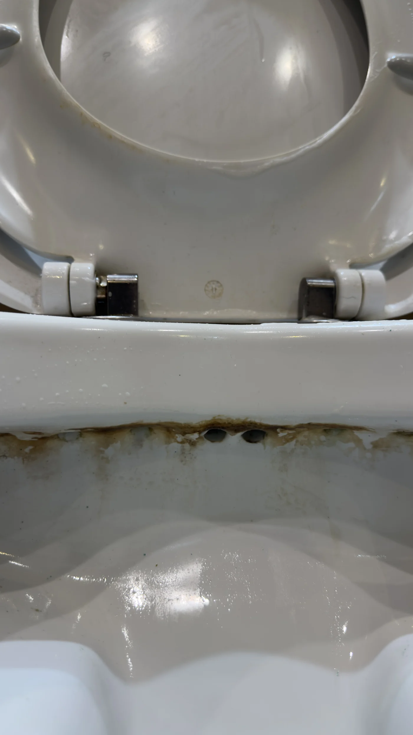 Toilet rim limescale, saltdean