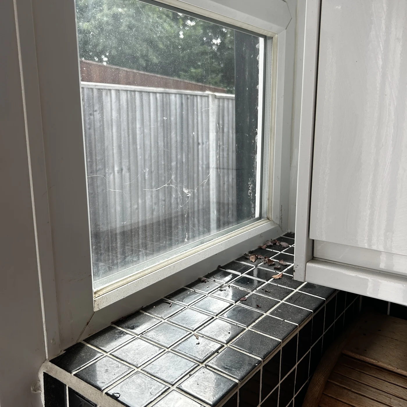 Window sill cobwebs and debris, thornton heath